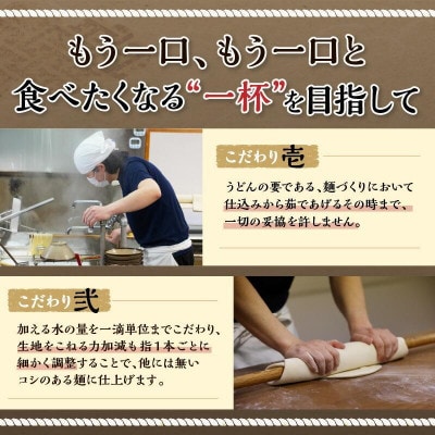 本家　池上製麺所　生うどん30食(鎌田だし醤油付)