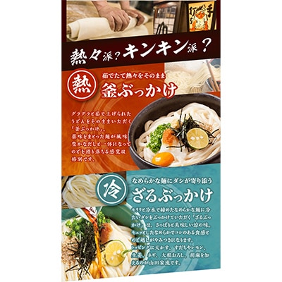 うどん本陣山田家 冷凍 讃岐ぶっかけうどん