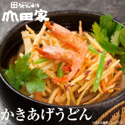 【山田家】心温まる讃岐の味セット～冷凍讃岐うどん　えび天・きつね・かき揚げセット/10人前(高松市)