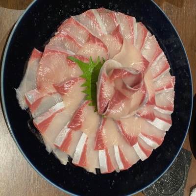 オリーブハマチ　(半身)