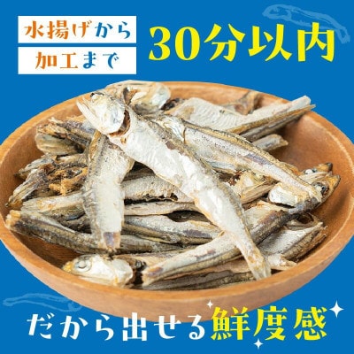 美味しい小魚シリーズ　ギフトセット