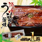 源内うなぎ(1尾)