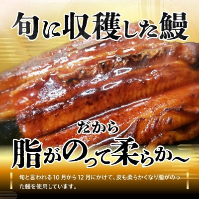 源内うなぎ(1尾)