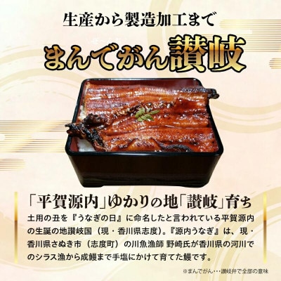 源内うなぎ(3尾)