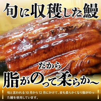 源内うなぎ(3尾)