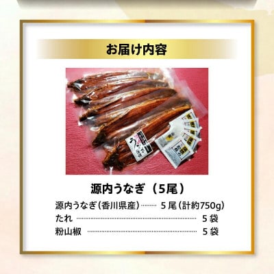 源内うなぎ(5尾)