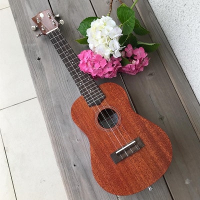 nekolele コンサートウクレレ