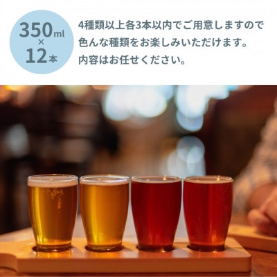 SETOUCHI BEER おまかせ訳ありビール 12缶セット