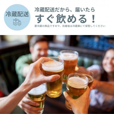 【毎月定期便】SETOUCHI BEER クラフトビール定期便全12回