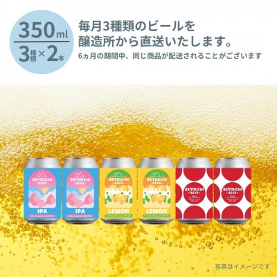 【毎月定期便】SETOUCHI BEER クラフトビール定期便全6回