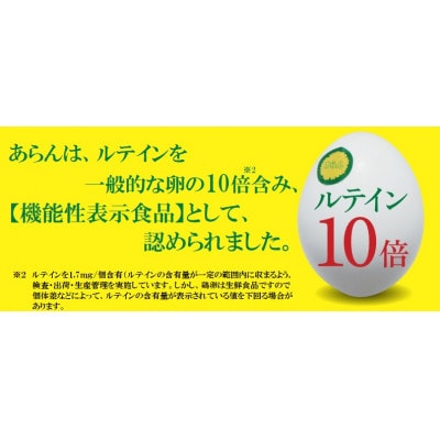 光の刺激から目を守る　ルテイン含有卵　機能性表示食品「あらん」　6個入3パック