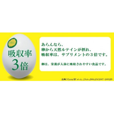 光の刺激から目を守る　ルテイン含有卵　機能性表示食品「あらん」　6個入3パック