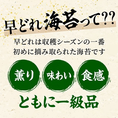 瀬戸内の早どれ海苔＜訳あり＞6袋