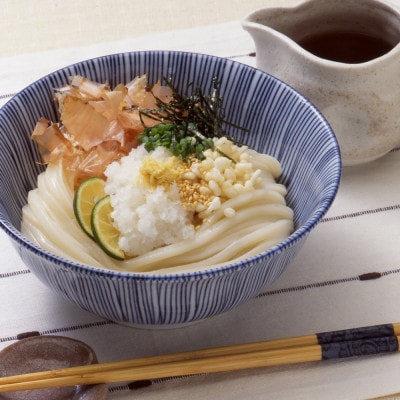 讃岐うどん・天ぷら詰合せ(NA-5)