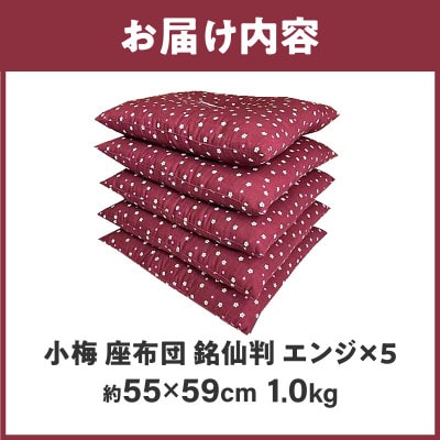 【讃岐ざぶとん】 小梅 座布団 銘仙判 55×59cm 5枚組 日本製 綿わた100% エンジ