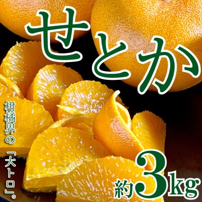 【2026年2月中旬より順次発送】柑橘界の大トロ!せとか　約3kg