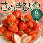 【2026年2月上旬より順次発送】紅くて甘い「さぬき姫いちご」8パック(1パック約250g)