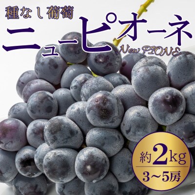 種なし葡萄!果汁たっぷり「ニューピオーネ」約2kg(3～5房)