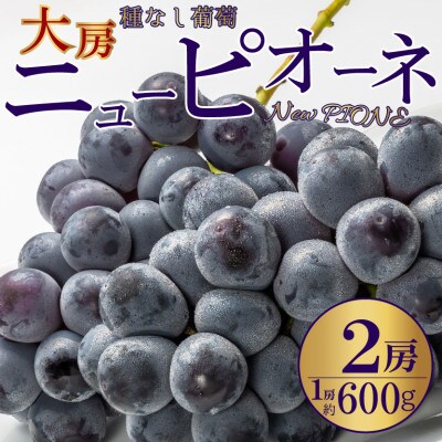 種なし葡萄!「大房ニューピオーネ」2房(1房約600g)