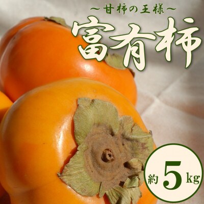 【2024年11月上旬より発送】甘柿の王様!富有柿　約5kg