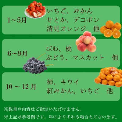 旬を見極めた、厳選フルーツ詰合せ【満足コース】(3～5品種)1回便
