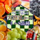 旬を見極めた、厳選フルーツ詰合せ【大満足コース】(5～8品種)1回便