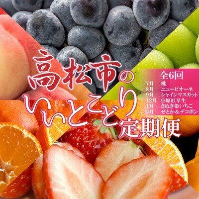 【発送月固定定期便】高松市のいいとこどり定期便♪(7月・8月・9月・12月・1月・2月)全6回