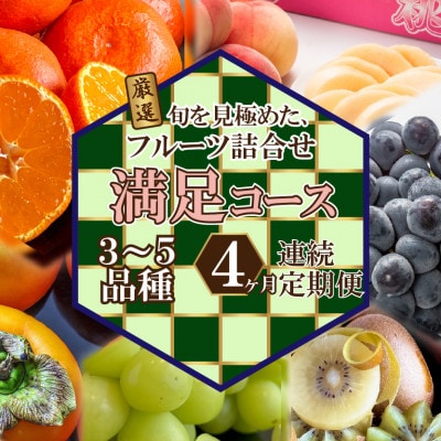 【毎月定期便】旬を見極めた、厳選フルーツ詰合せ定期便【満足コース】(3～5品種)全4回