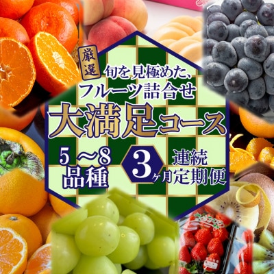 【毎月定期便】旬を見極めた、厳選フルーツ詰合せ定期便【大満足コース】(5～8品種)全3回