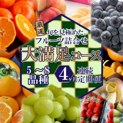 【毎月定期便】旬を見極めた厳選フルーツ詰合せ【大満足コース】(5～8品種)全4回