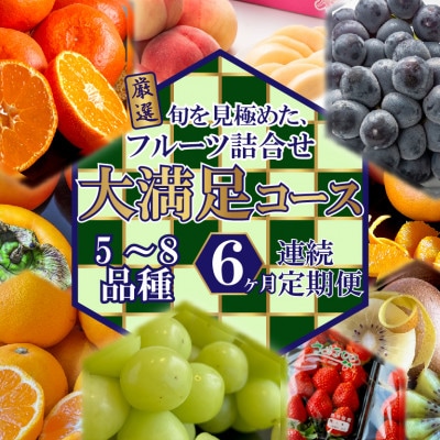 【毎月定期便】旬を見極めた厳選フルーツ詰合せ【大満足コース】(5～8品種)全6回
