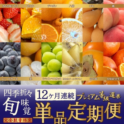 【発送月固定定期便】≪完全数量限定≫旬を見極めこの一品!プレミアム等級選果の単品定期便!全12回