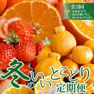 【発送月固定定期便】冬のいいとこどり定期便♪(12月・1月・2月)全3回