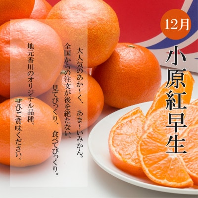 【発送月固定定期便】冬のいいとこどり定期便♪(12月・1月・2月)全3回