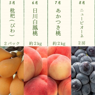 【発送月固定定期便】四季折々旬味覚!12ヶ月連続単品定期便♪全12回