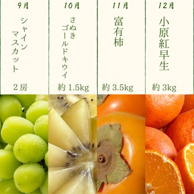 【発送月固定定期便】四季折々旬味覚!12ヶ月連続単品定期便♪全12回