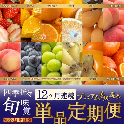 【発送月固定定期便】～プレミアム等級選果～四季折々旬味覚!12ヶ月連続単品定期便♪全12回