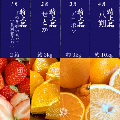 【発送月固定定期便】～プレミアム等級選果～四季折々旬味覚!12ヶ月連続単品定期便♪全12回