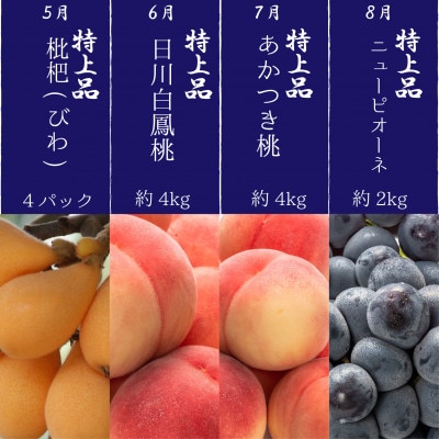 【発送月固定定期便】～プレミアム等級選果～四季折々旬味覚!12ヶ月連続単品定期便♪全12回