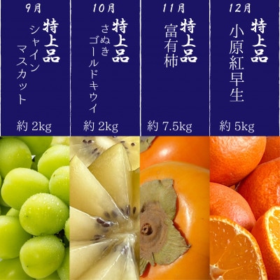【発送月固定定期便】～プレミアム等級選果～四季折々旬味覚!12ヶ月連続単品定期便♪全12回