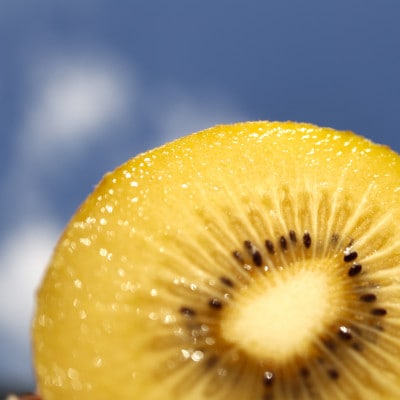 さぬきゴールドキウイ　2.7kg以上