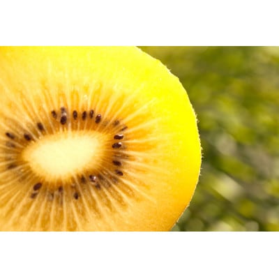 さぬきゴールドキウイ　2.7kg以上