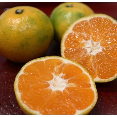 ゆら早生みかん　5kg以上