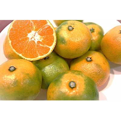 ゆら早生みかん　5kg以上