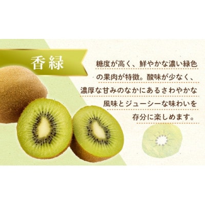香緑キウイ　約3.0kg