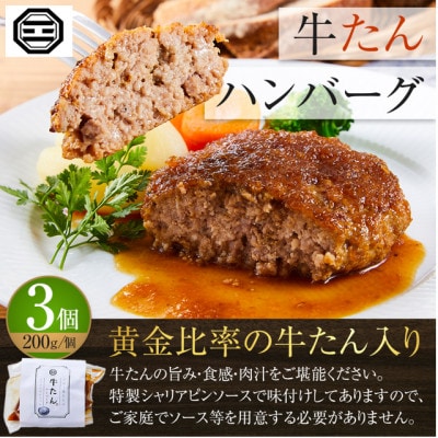 ぶつぎりたんちゃん特製 ごほう美たんの詰め合わせ
