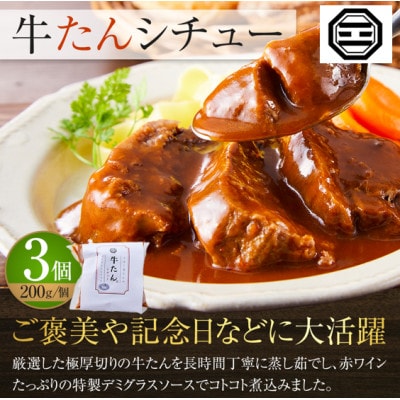 ぶつぎりたんちゃん特製 ごほう美たんの詰め合わせ