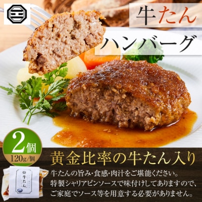 ぶつぎりたんちゃん特選セット