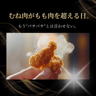 香川名物 かしわ天専用スパイス 3袋セット(万能調味料)