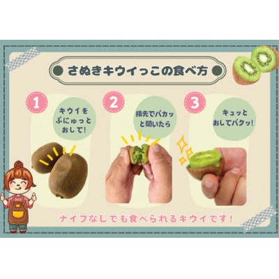 さぬきキウイっこ　約2kg